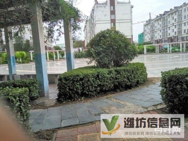 金都家園(濰城) 環境好 精裝全齊 隨時看房 拎包入住69