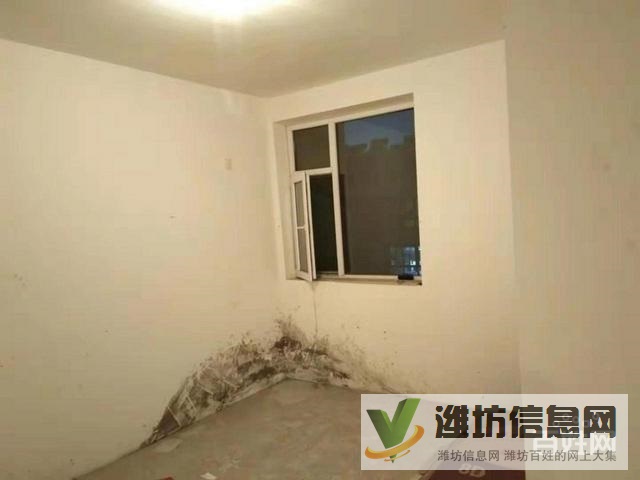 區(qū)政府豪德近 沿河多層 銀河花園B區(qū) 客廳朝陽 9