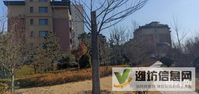 浞河畔浞景雅苑 三居室 單價一平 近鳳凰山莊春景花