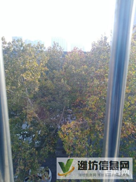 奎文中心地段拆遷潛力股零公攤可貸款僅售69萬