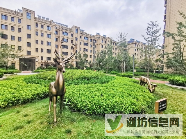 濰城奧體中心 9層電梯洋房123平大H戶型