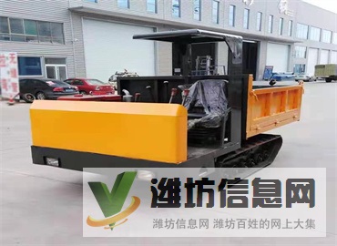10噸農用履帶運輸車 水陸兩用運輸車 小型橡膠履帶底盤