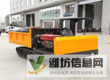 10噸農用履帶運輸車 水陸兩用運輸車 小型橡膠履帶底盤