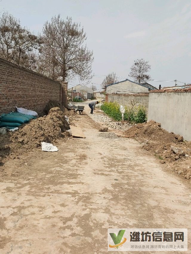 用總裁的智慧打造此地,