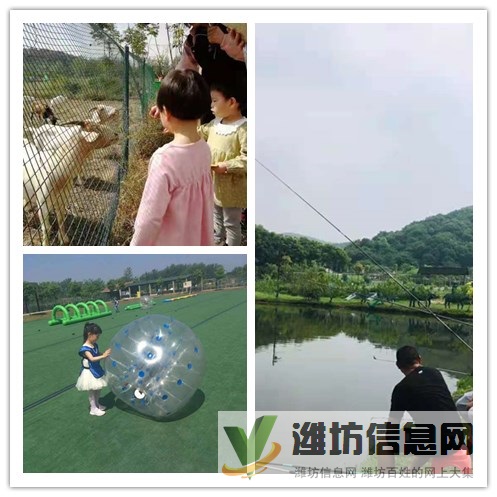 這樣的好機會光谷親子游哪有特色?學校班主任說了個好去處