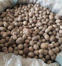 青島進口豆蔻及其他中藥材清關(guān)報關(guān)