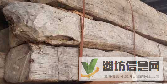 濰坊進口原木及木材清關報關