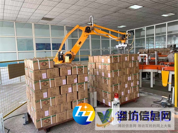 全自動(dòng)碼垛機(jī)的選擇