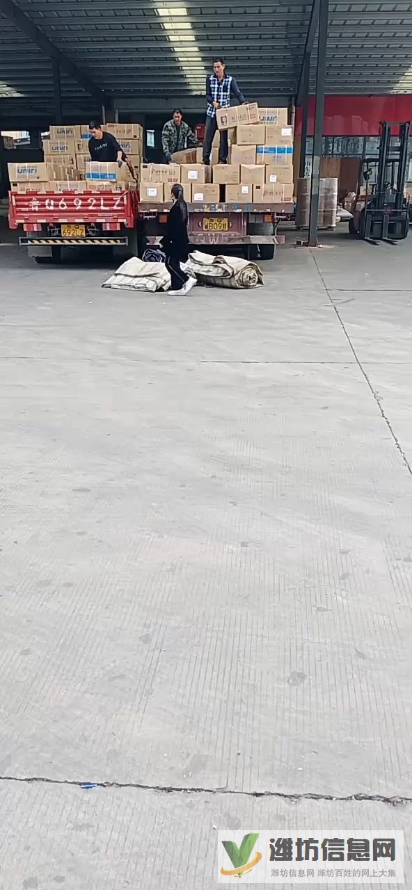 招聘裝卸工、叉車司機及學徒