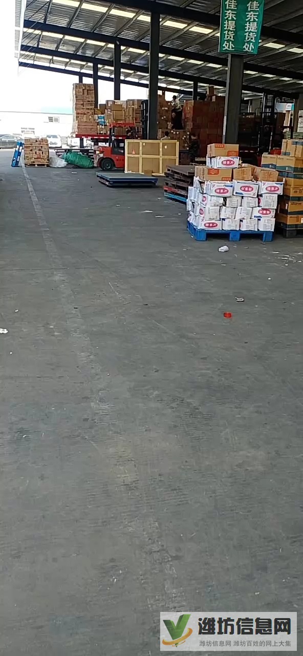 招聘裝卸工、叉車司機及學徒